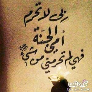 Meet your Posher, Dalila